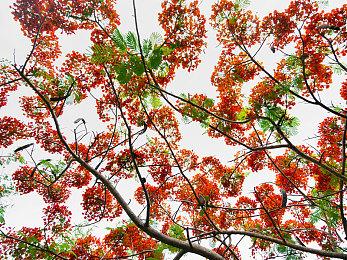 生活模拟佛系冒险游戏《漫游驿站》现已正式推出 获特别好评