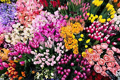 《铁拳8》全新预告 展示角色拉斯·亚力桑德斯