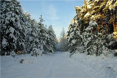 《吸血鬼幸存者：导剪版》实机泄露 新角色、地图等